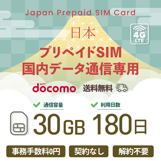 プリペイドSIMカード 30GB 180日 国内データ通信専用 NTTドコモ回線（docomo 回線） LTE【送料無料】